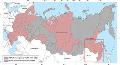 African Swine Fever in the Russian Far East (2019–2020): Spatio-Temporal Analysis and Implications for Wild Ungulates